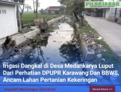 Irigasi Dangkal di Desa Medankarya Luput Dari Perhatian DPUPR Karawang Dan BBWS, Ancam Lahan Pertanian Kekeringan