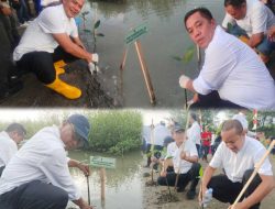 Usai Lantik 11 ASN, Bupati Aep Pimpin Langsung Penanaman Ribuan Mangrove di Pantai Tirtajaya!