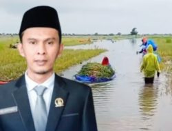 Petani Di Karawang Menjerit Harga Gabahnya Anjlok, DPRD Minta Bulog Turun Tangan