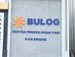 Bulog Karawang Pastikan Serap Gabah Petani Terdampak Banjir Sesuai HPP!