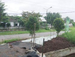 Bentang Kabel Hambat Pembuatan Jalan Di Purwadana, PLN Diminta Cepat Tanggap