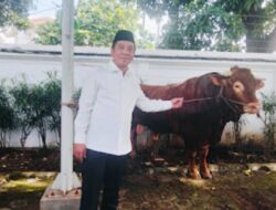 Bupati Aep Apresiasi Bantuan Sapi Kurban Presiden Prabowo : Siap Dibagikan Ke Warga Karawang
